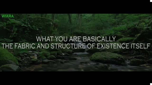 Alan Watts ~ If you're listening to this lecture then you're...